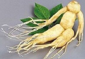 Radice di ginseng per preparare infusi